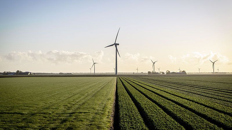 Die Kombination von Windenergieanlagen und Landwirschaft stärken ländliche Regionen.